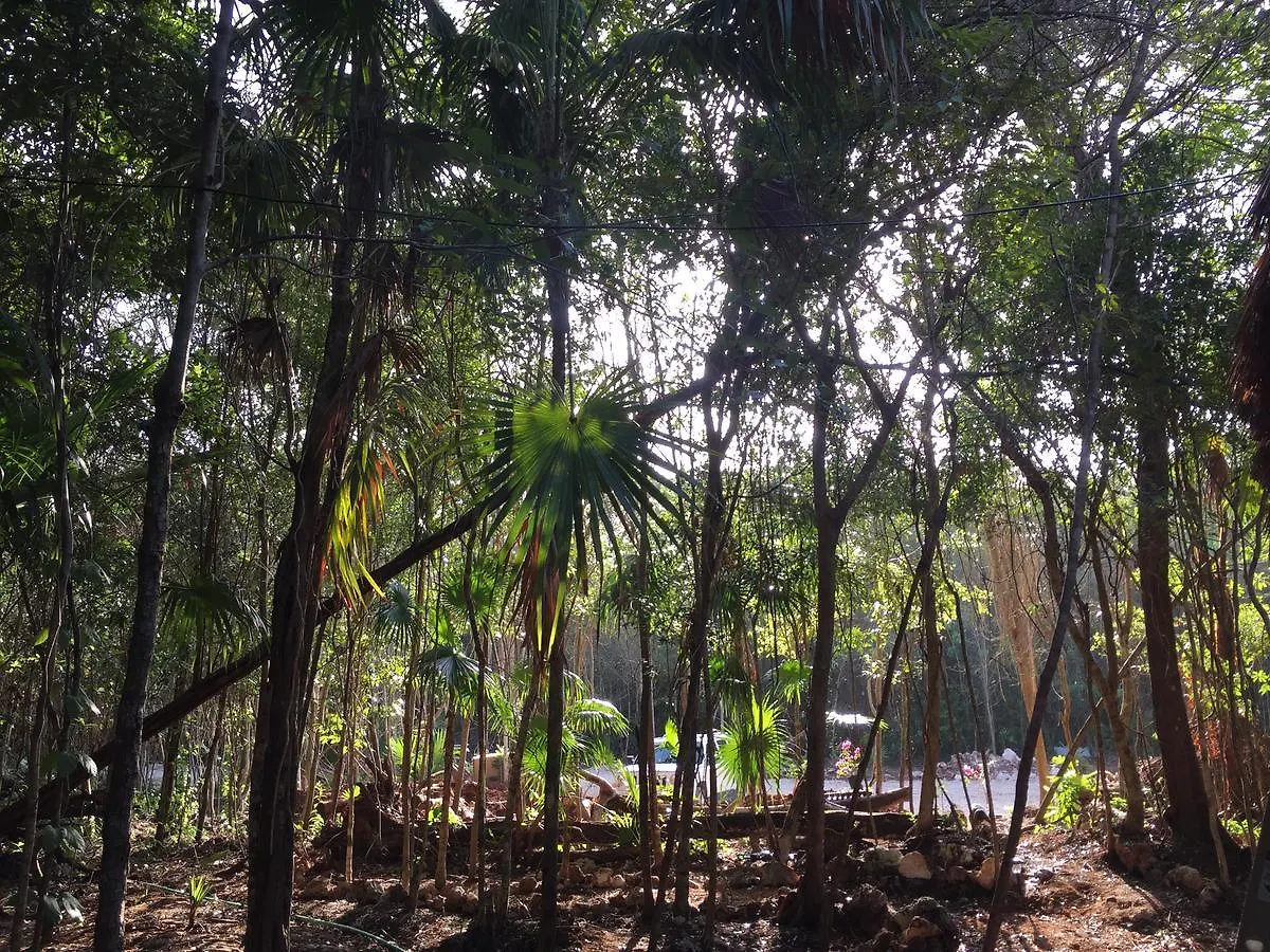 Cheel Lodge & Camping Puerto Morelos Mexico