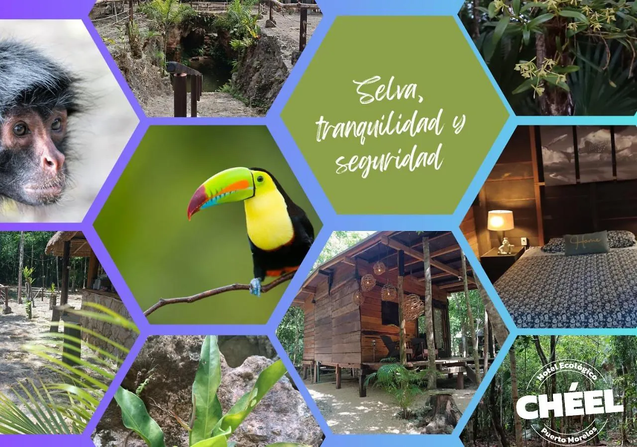 Cheel Lodge & Camping Puerto Morelos Meksyk