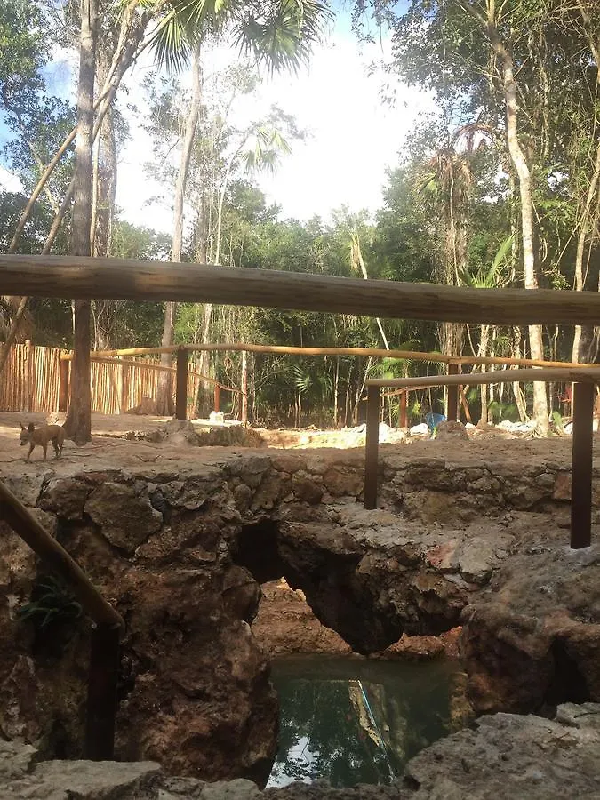 Cheel Lodge & Camping Puerto Morelos