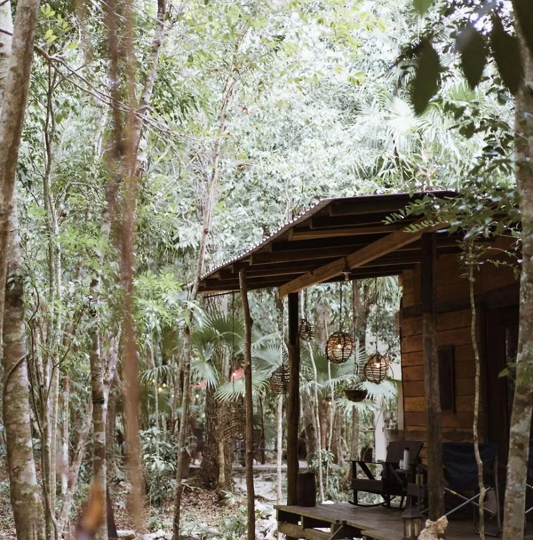 Chéel Cabañas&Camping Puerto Morelos