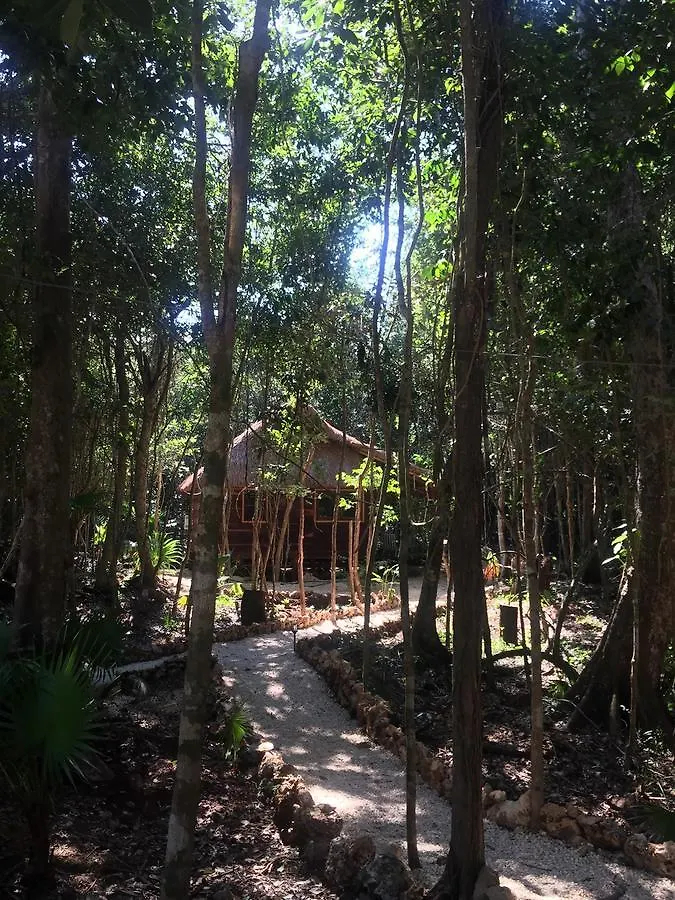 Chéel Cabañas&Camping Puerto Morelos Lodge