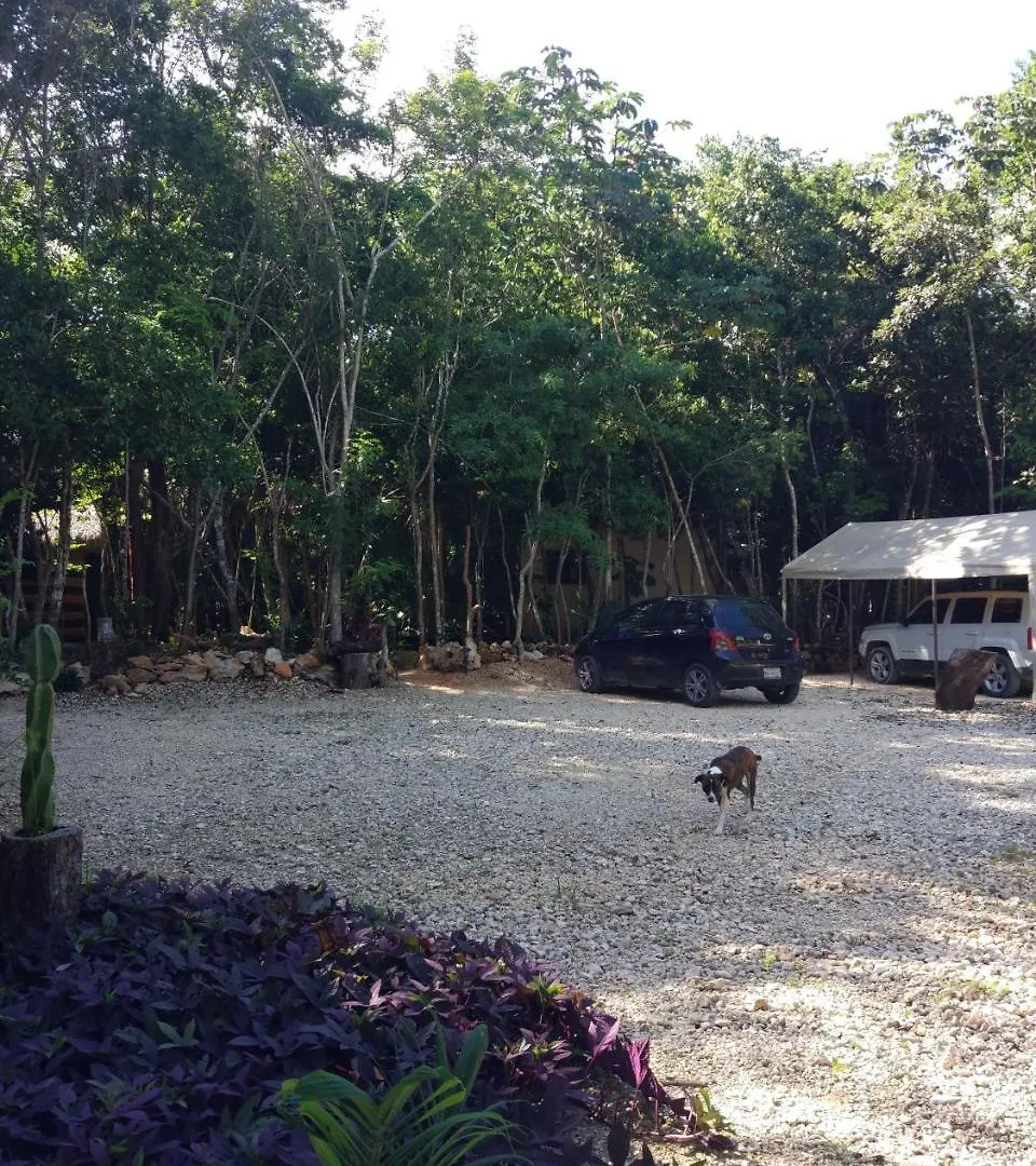 Chéel Cabañas&Camping Puerto Morelos
